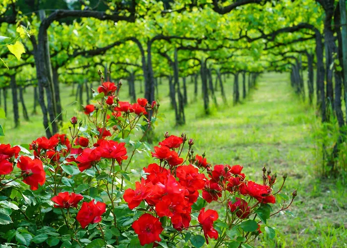 Cuore Alloro Apartment *