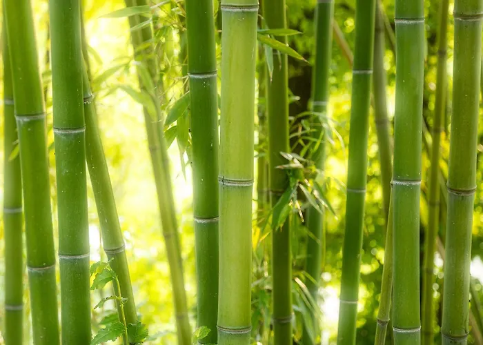 Apartment Cuore Alloro Spello