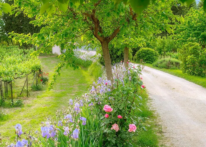 Apartamento Cuore Alloro